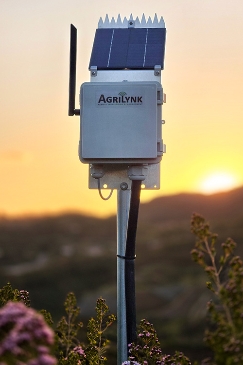 Agrilynk Field Station at Sunset