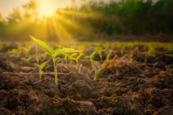 Measuring Soil Moisture Benefits