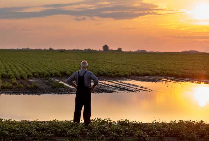 Discover AgriLynk, an AgTech platform with the latest technology designed to enhance farm productivity and efficiency through advanced, wireless technology.