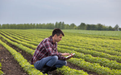 Smarter Irrigation with Sensors: Maximizing Crop Yields through Soil Moisture Technology